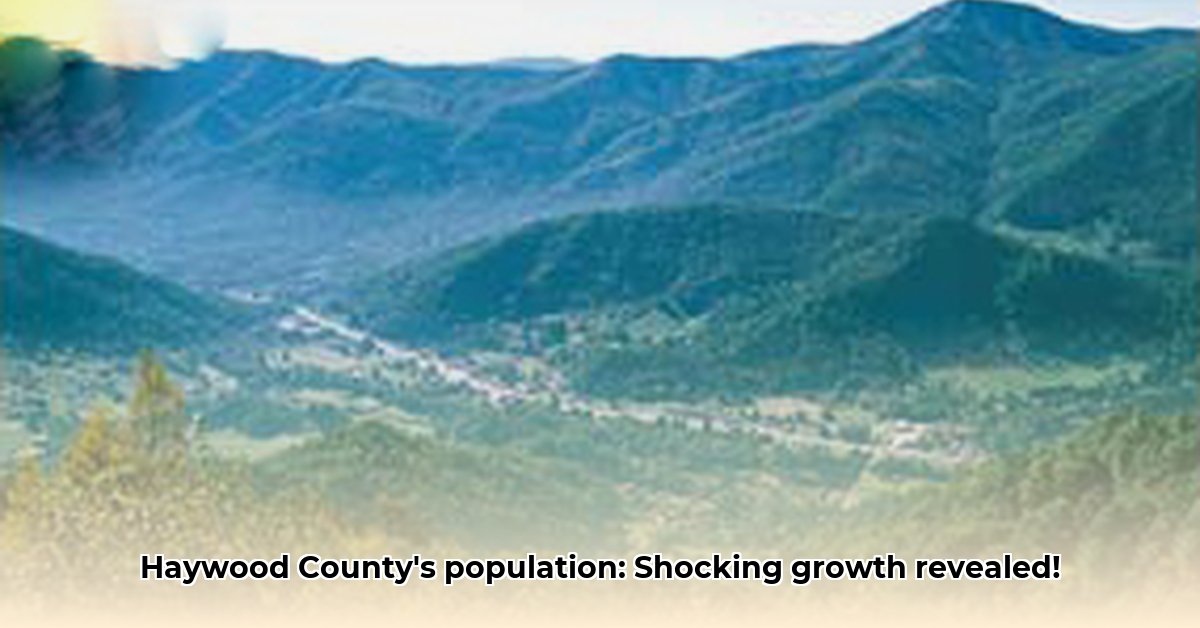 haywood-county-nc-population
